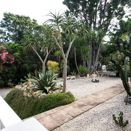 South Villa Guesthouse&Garden Knysna Dış mekan fotoğraf