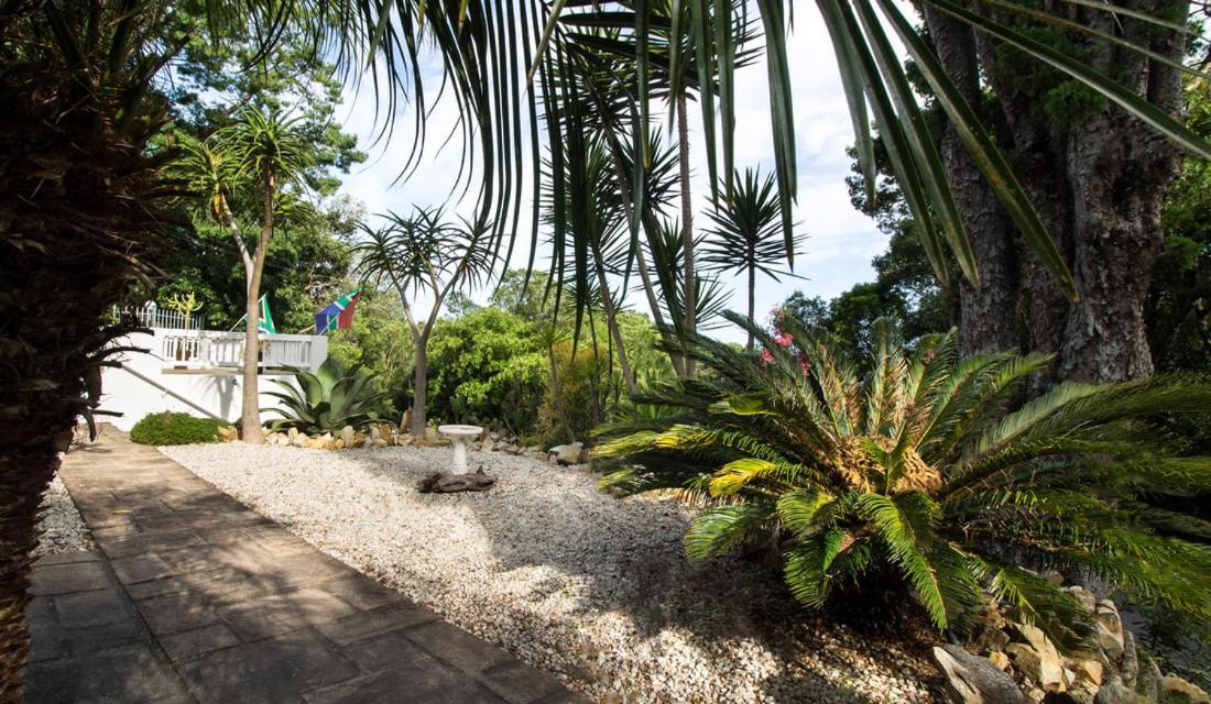 South Villa Guesthouse&Garden Knysna Dış mekan fotoğraf